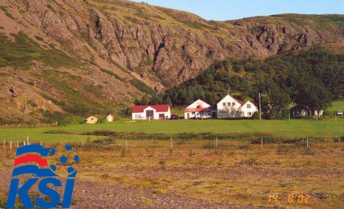Как выглядит «сельский» дом Федерации футбола Исландии