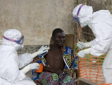 10 фактов про вирус Эбола, которые стоит узнать прямо сегодня