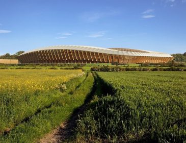Как будет выглядеть первый в мире полностью деревянный стадион