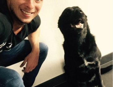 «Не сдержать слез»: Собака Эмилиано Салы пришла попрощаться с хозяином на его похороны